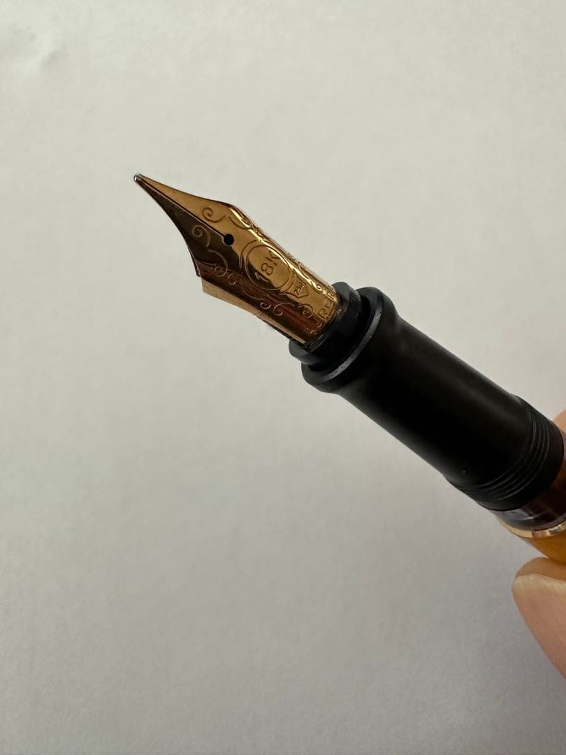 アウロラ　万年筆　大陸シリーズ　限定　アフリカ