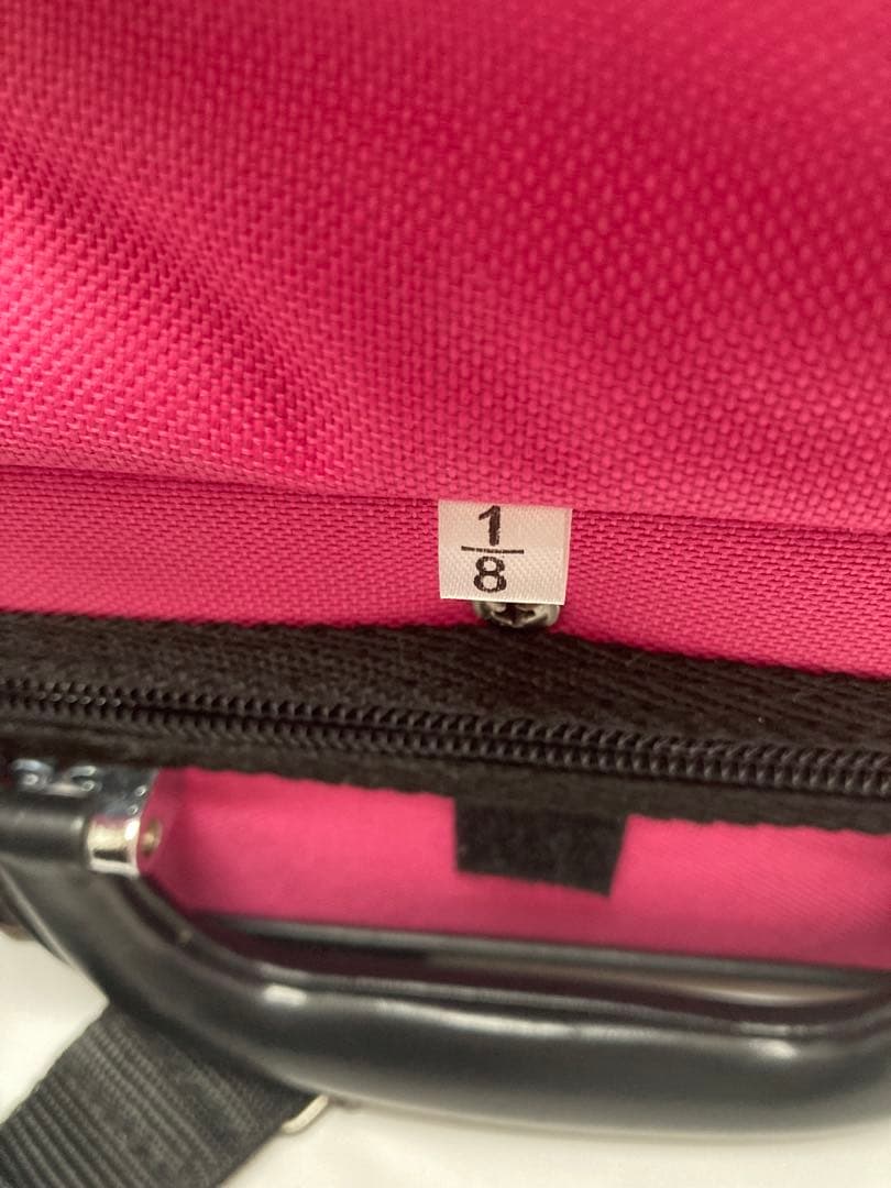 Reghin ルーマニア製　バイオリン1/8セット (付属品は追記)