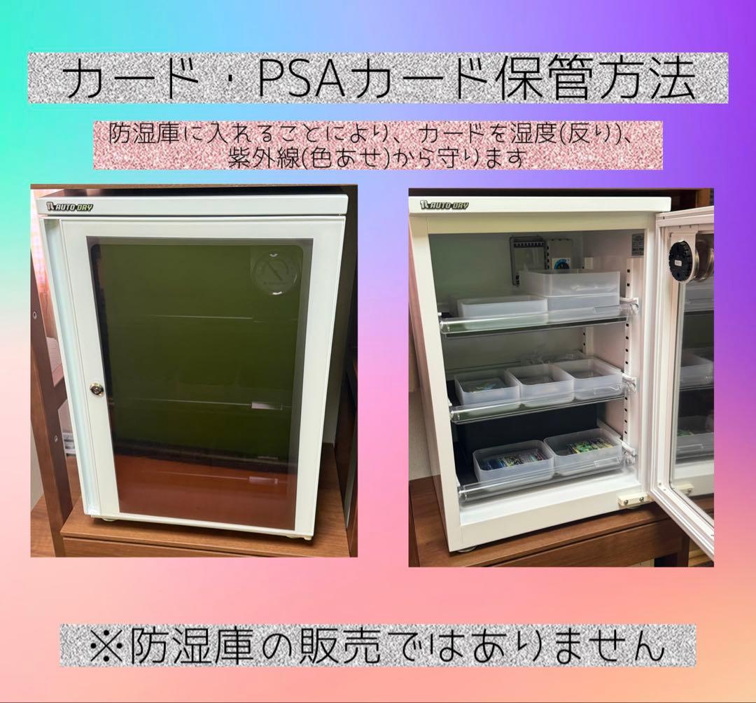 【希少】PSA10 ブラッキー　韓国(日本語版は存在しません)