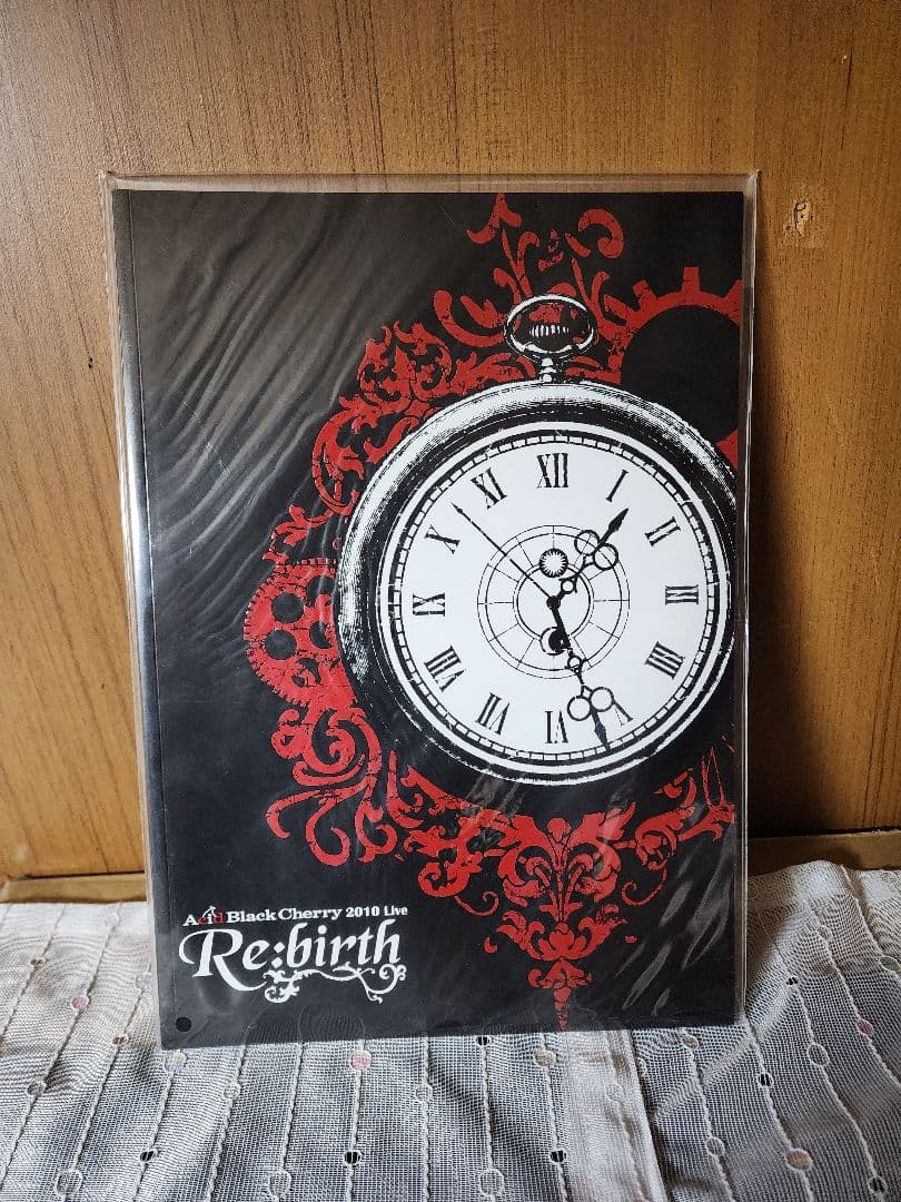 Janne Da Arc パンフレット 写真集 21冊 まとめ売り