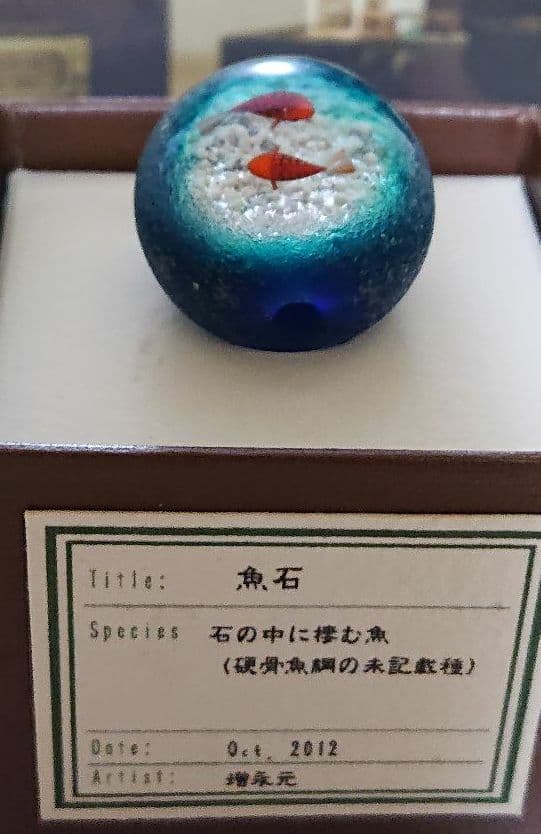 貴重です！ 増永元さん彩元堂 とんぼ玉 光る魚石
