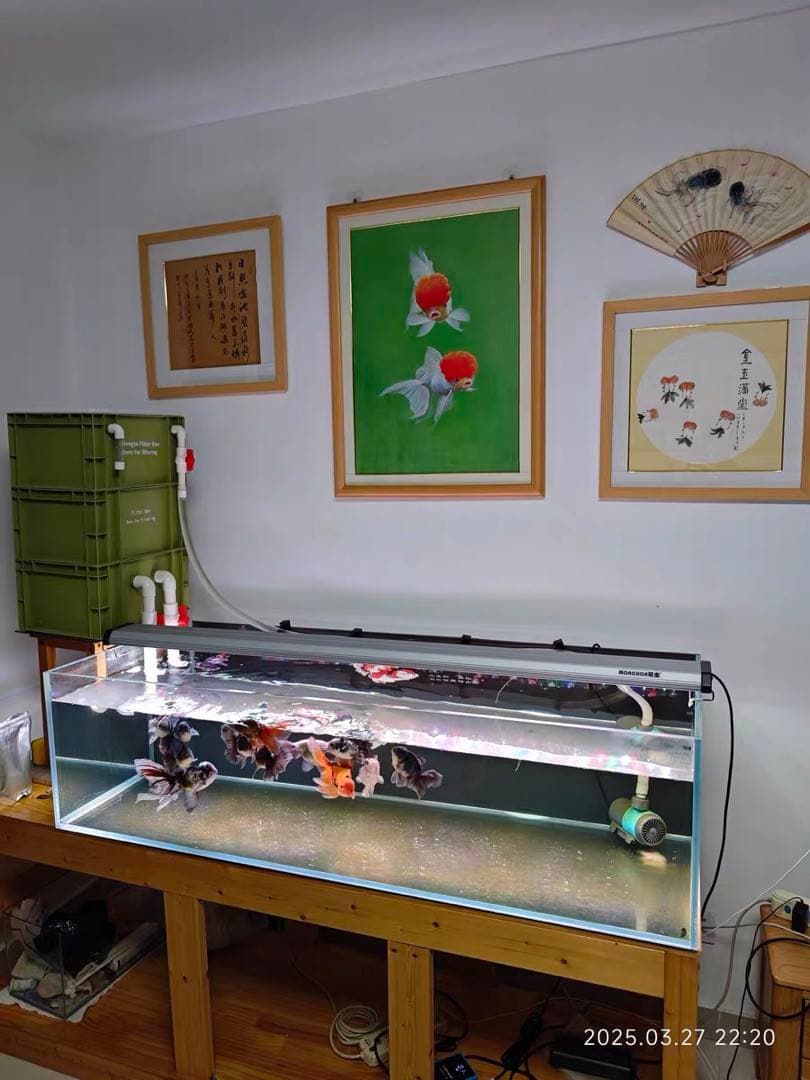 25W水中ポンプ付き水槽池用万能ろ過フィルター 外部式飼育濾過装置器アクアリウム