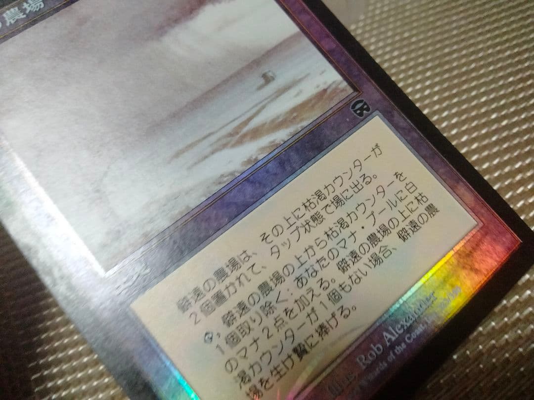 【ご確認用】メルカディアン・マスクス foil 僻遠の農場 日本語 1枚　MTG