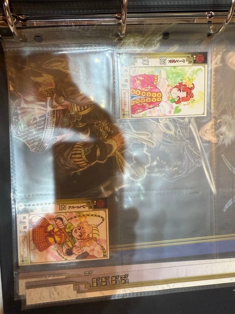ゴ*ヤ様 三国志大戦2 カードバインダー　カード338枚コンプリート