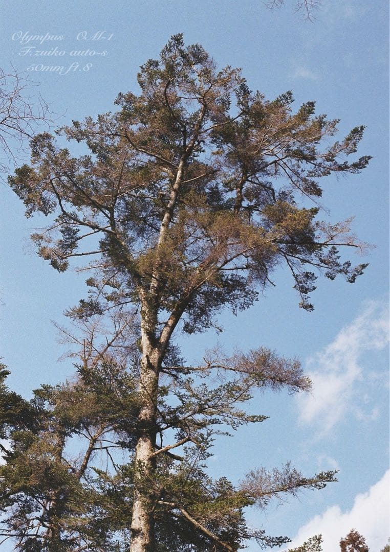 ★★★Andrewさま専用★★★