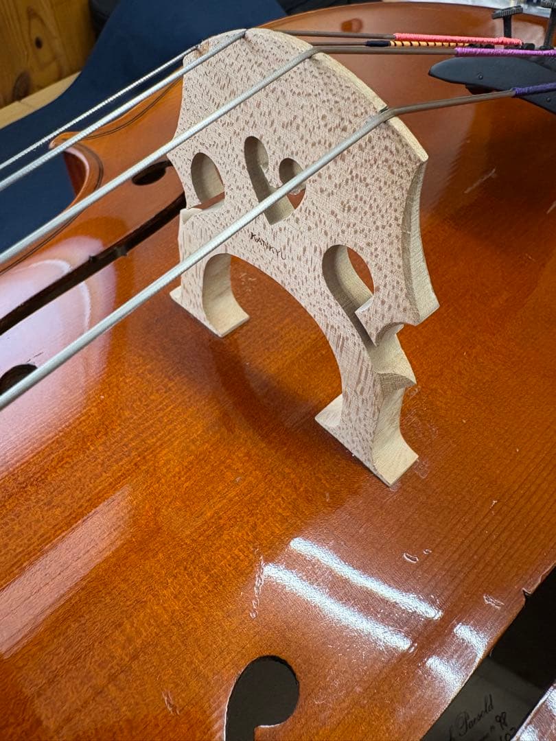 ローデリヒ.ペゾルト　チェロ603中古品