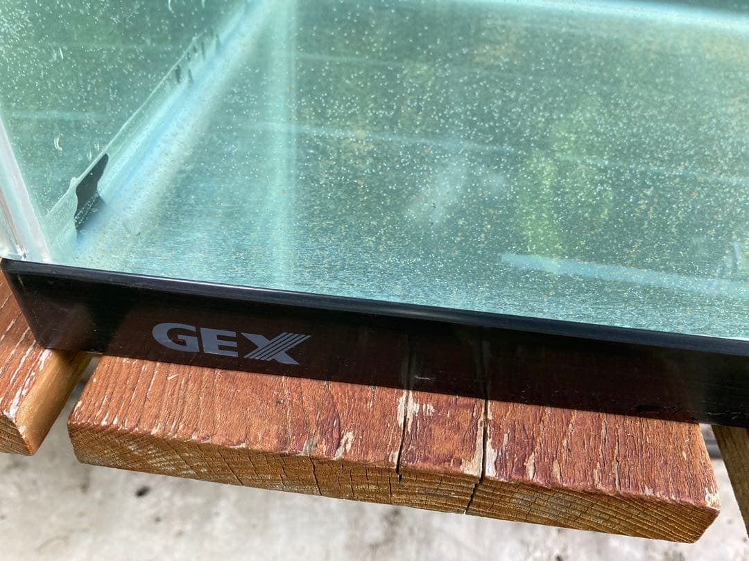 GEX 90cmレギュラーガラス水槽