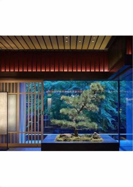 【新品】ラ・プレリー ❤️スイス UV プロテクションヴェール 日焼け止め