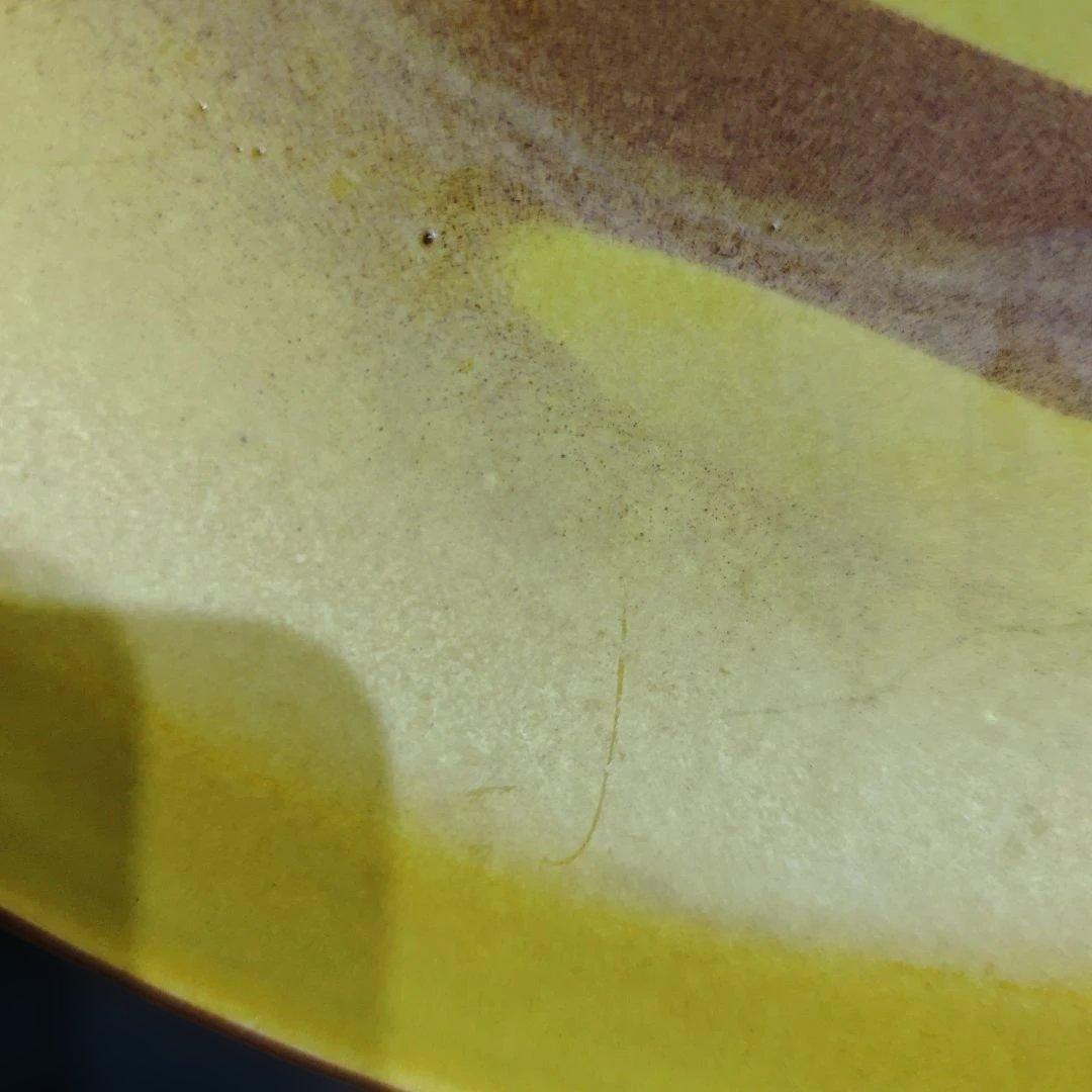 鶴の飛翔 九谷焼 斉山 #705