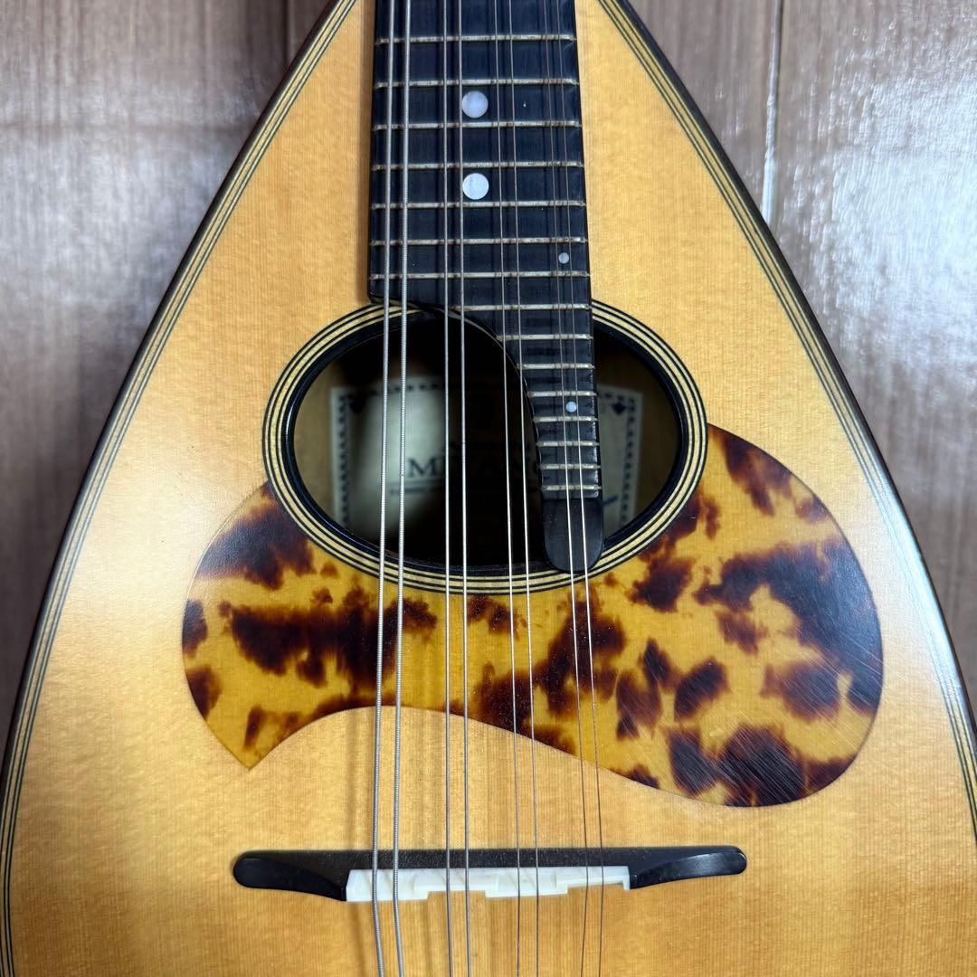 【美品】宮野マンドリン　M-1 ローズウッドボディ　 マンドリンケース　弦付き