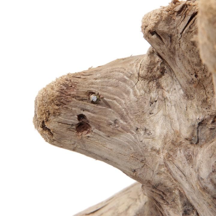 流木 インテリア レイアウト 42cm DIY アクアリウム 天然 rybk7