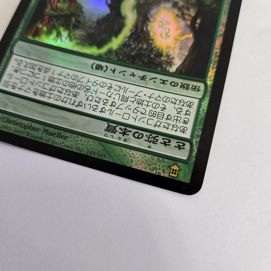 MTG 上位の大蛇、ささ弥 FOIL SOK