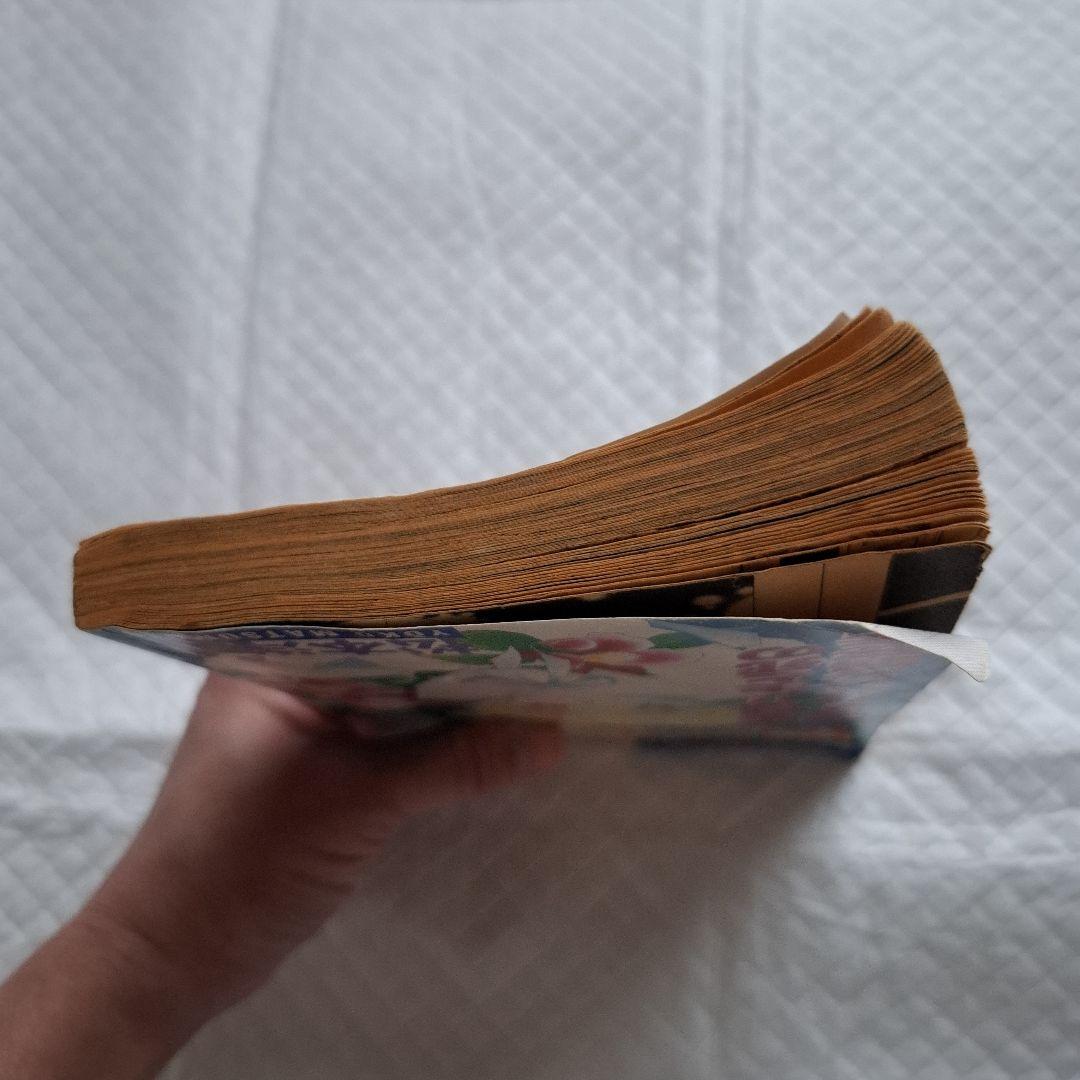 闇は集う 夜に消える翼 松本洋子