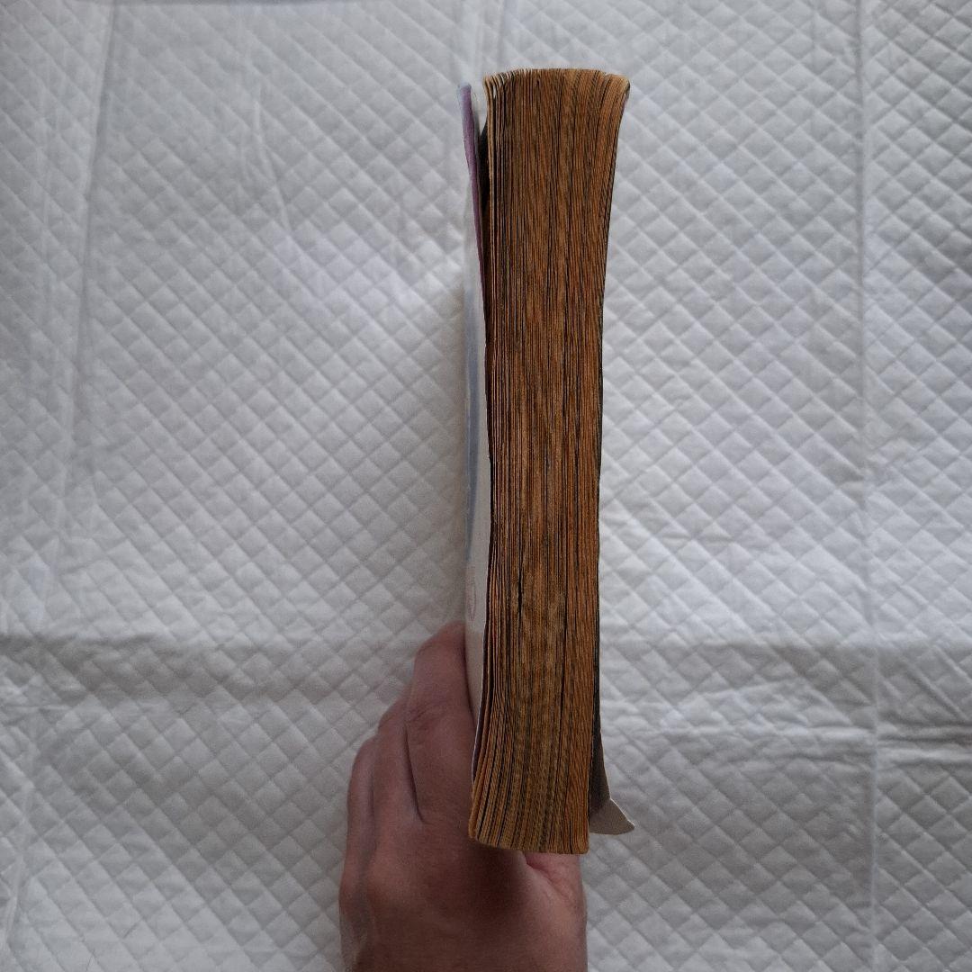 闇は集う 夜に消える翼 松本洋子