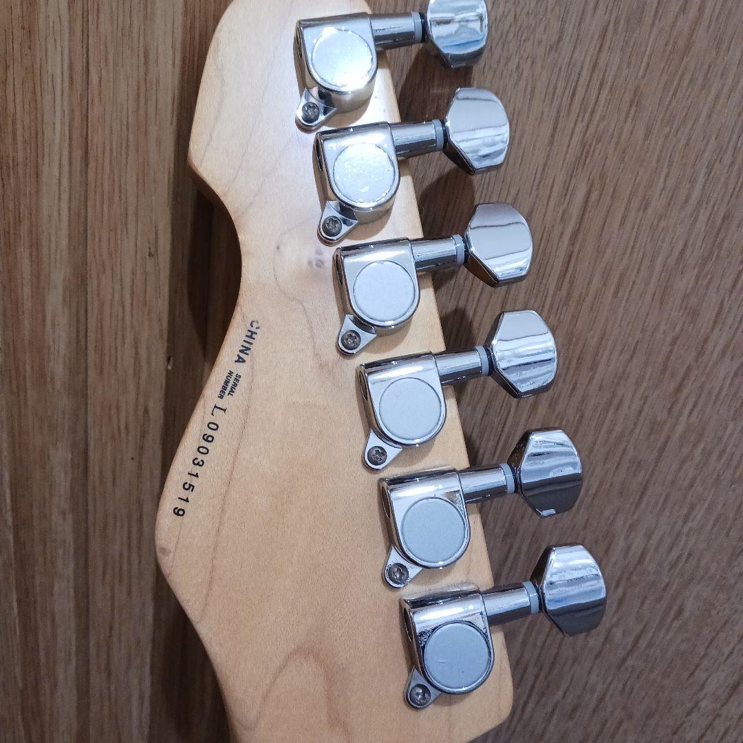 grass.Roots.エレキギター＆ソフトケース