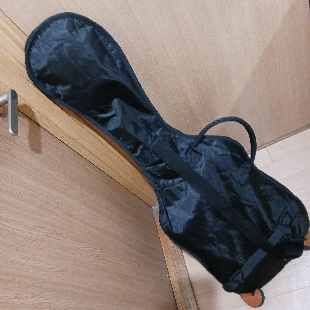 grass.Roots.エレキギター＆ソフトケース