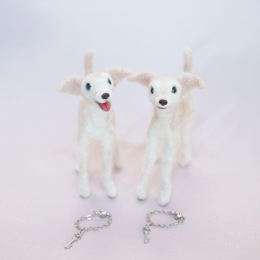 ★専用★　イタグレ　パグ　チワワ　セット