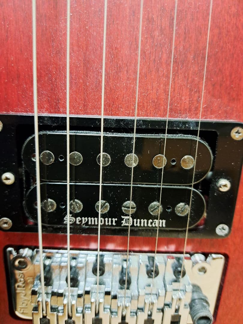 ギター Washburn N24 Alder padauk