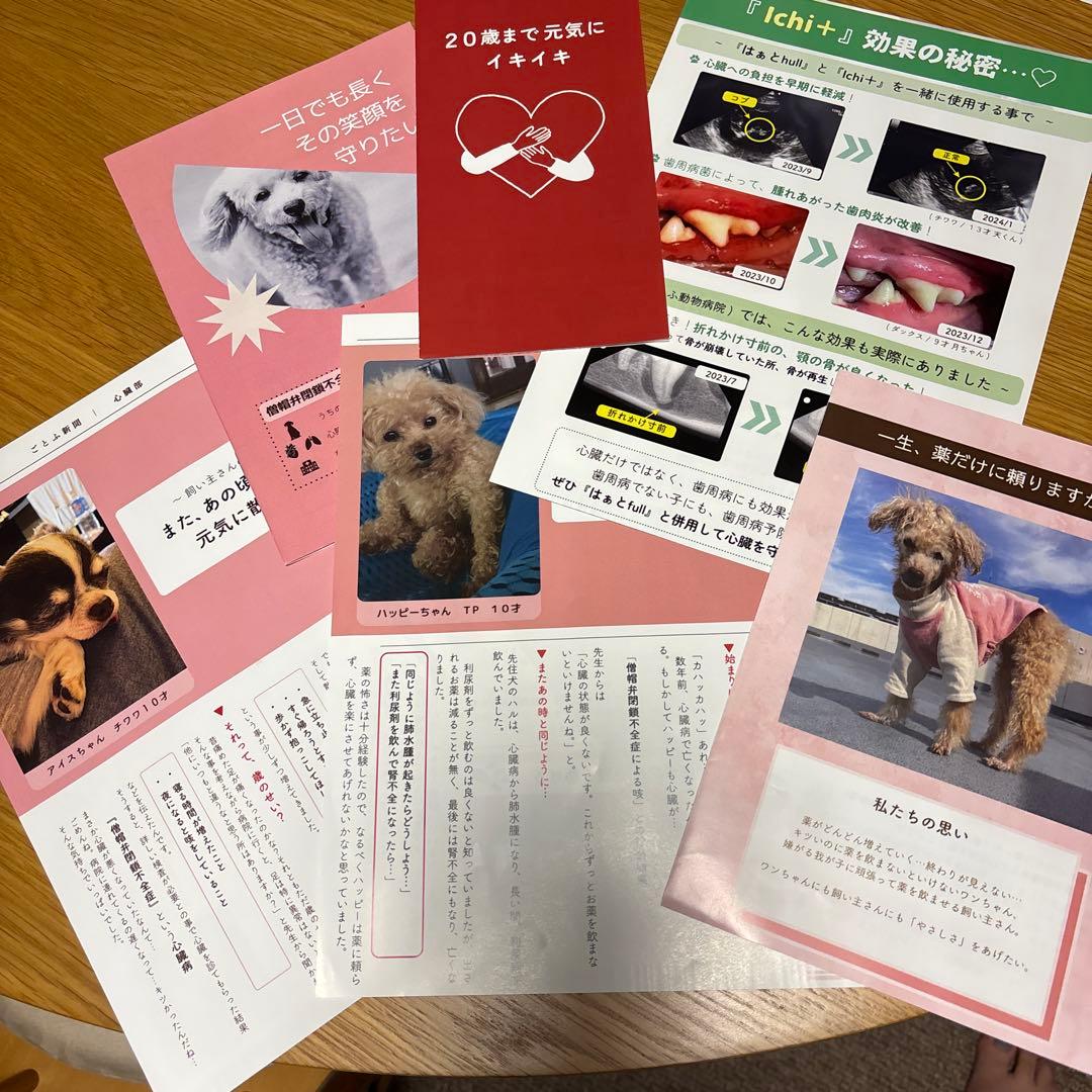 ペットリコ はぁとfull 未開封品と1回使用ichi +のセット