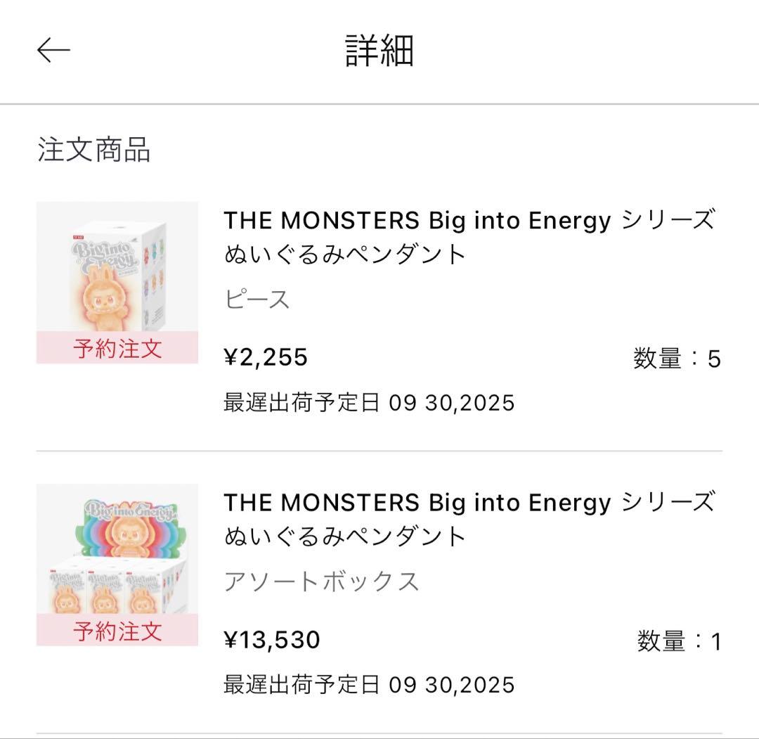 未開封・正規品　ラブブ Big into Energy アソートBOX＋バラ4個
