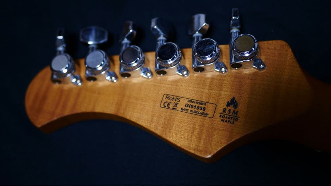 bacchus BSH-750/RSM (改造多数)