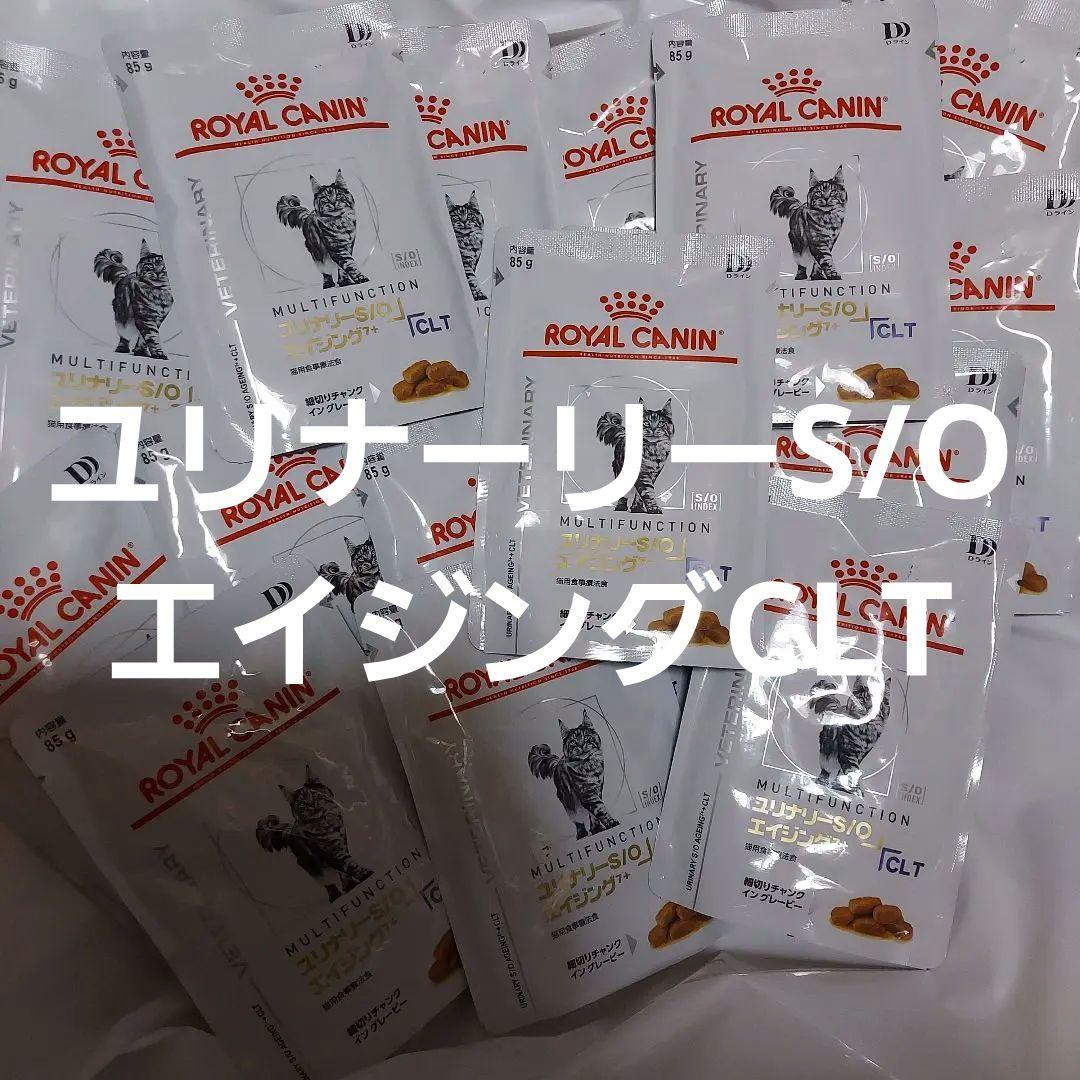  CANIN S/O　CLT　膀胱炎療法食　猫用療法食 85g 23袋