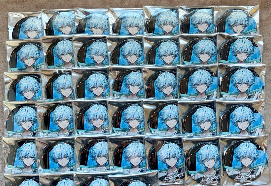 Lapis らぴすくん 缶バッジ 武道館 等身29個