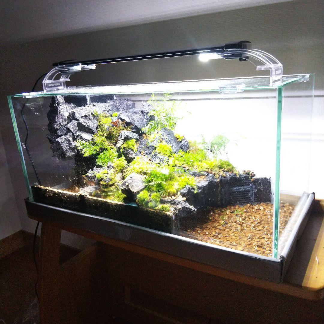 イモリウムオーダーメイド