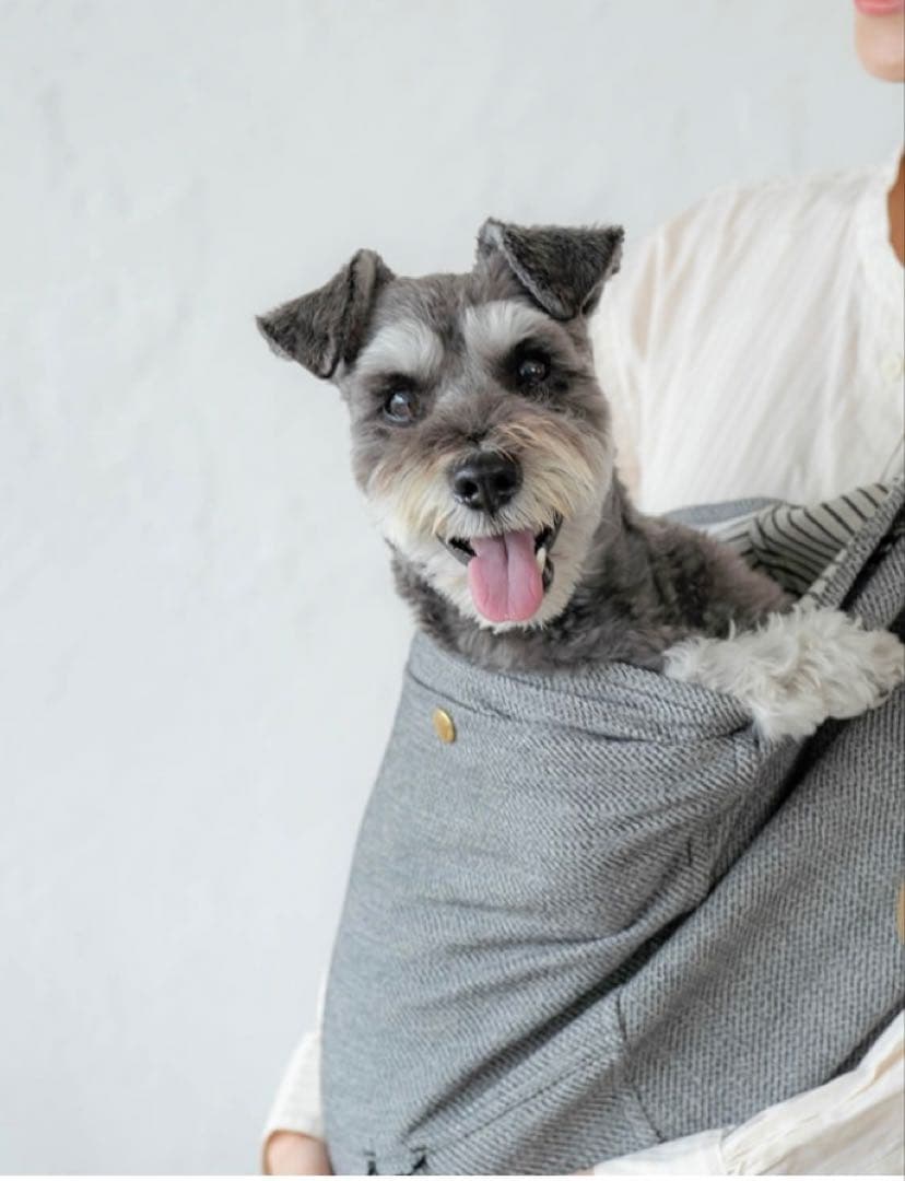 erva 多機能ドッグスリング アベルトMサイズ