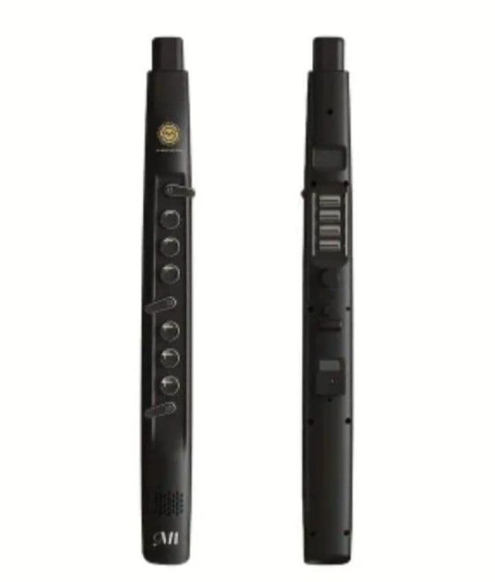 新品 電子 デジタル サックス 吹奏 管楽器 エレフエ サクソフォン黒リコーダー