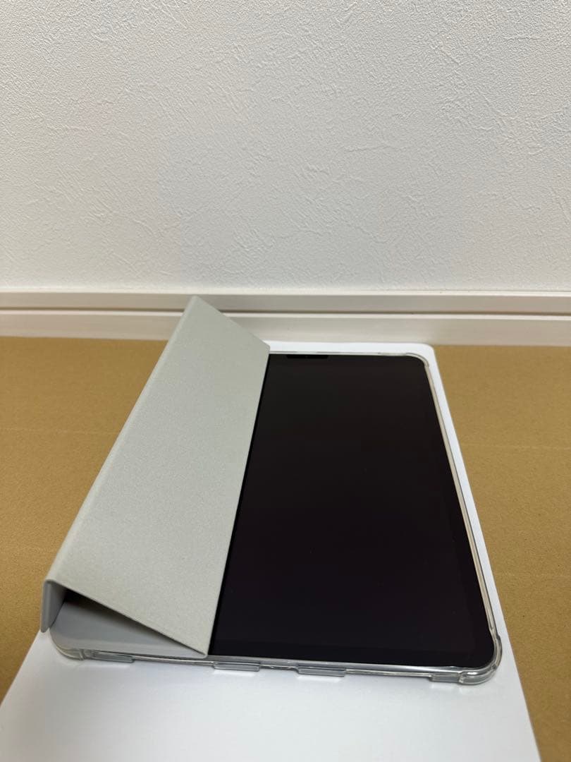 256GB iPad Pro 11インチ Wi-Fiモデル　スペースグレイ