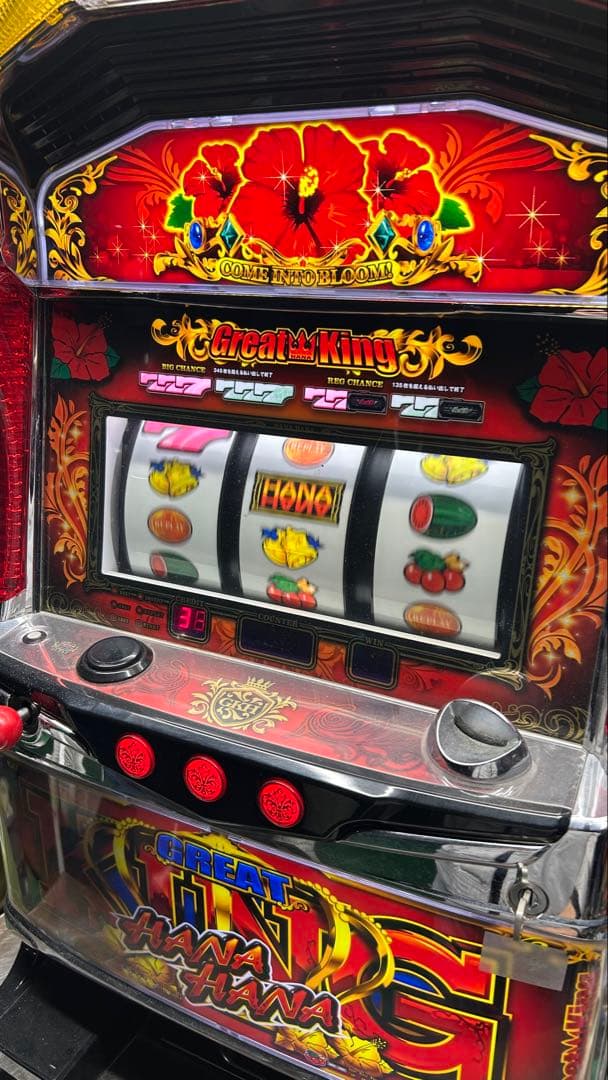 パチスロ実機 グレートキングハナハナ 家庭用電源 不要機仕様 訳あり