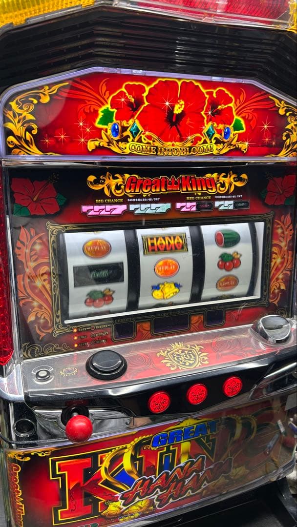 パチスロ実機 グレートキングハナハナ 家庭用電源 不要機仕様 訳あり