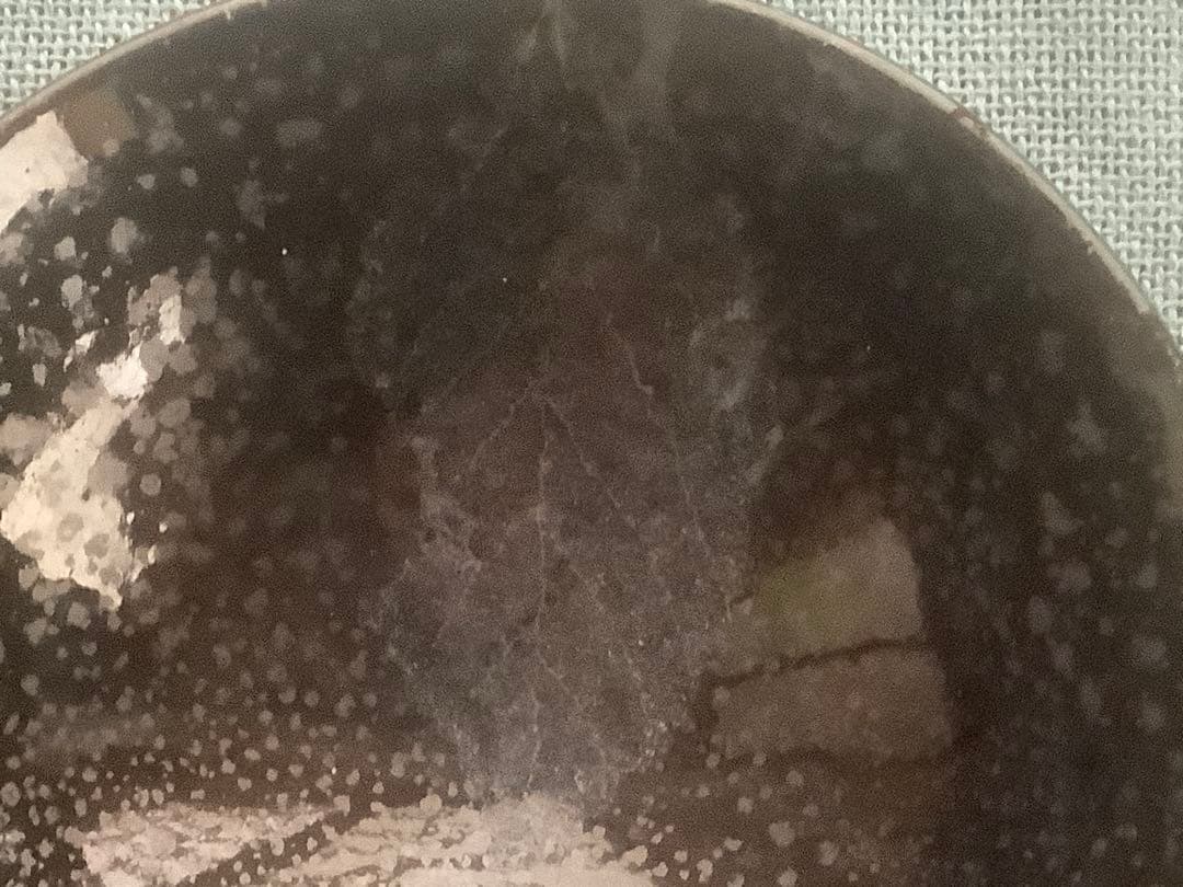 (美品)珍品　木村盛和作　木の葉油滴天目　ぐい呑み　栞、共布共箱入