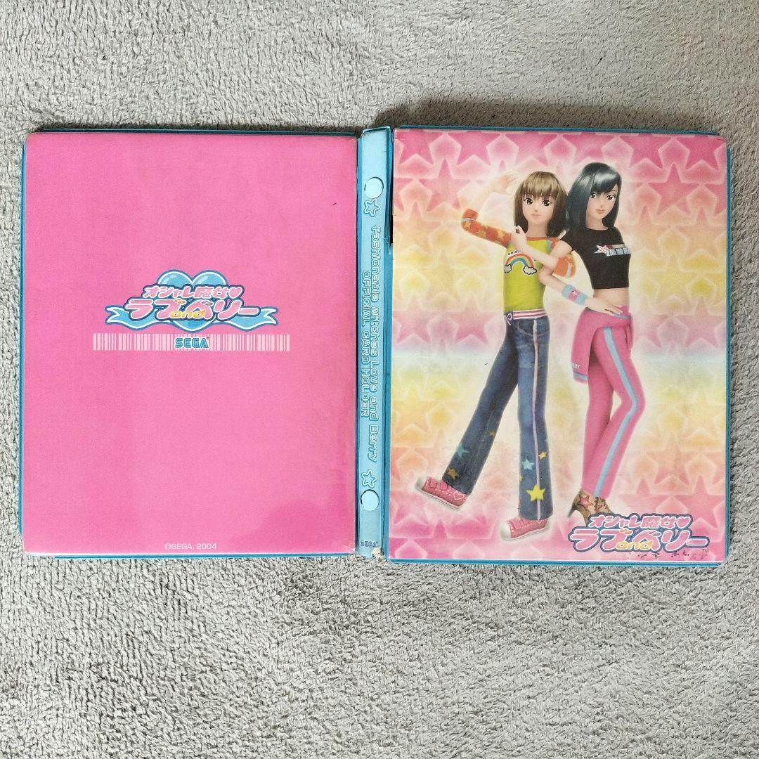 DS本体 カードリーダー おしゃれ魔女 ラブandベリー カード カードホルダー