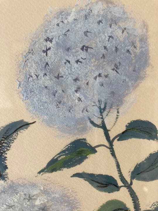 西洋あじさいの絵