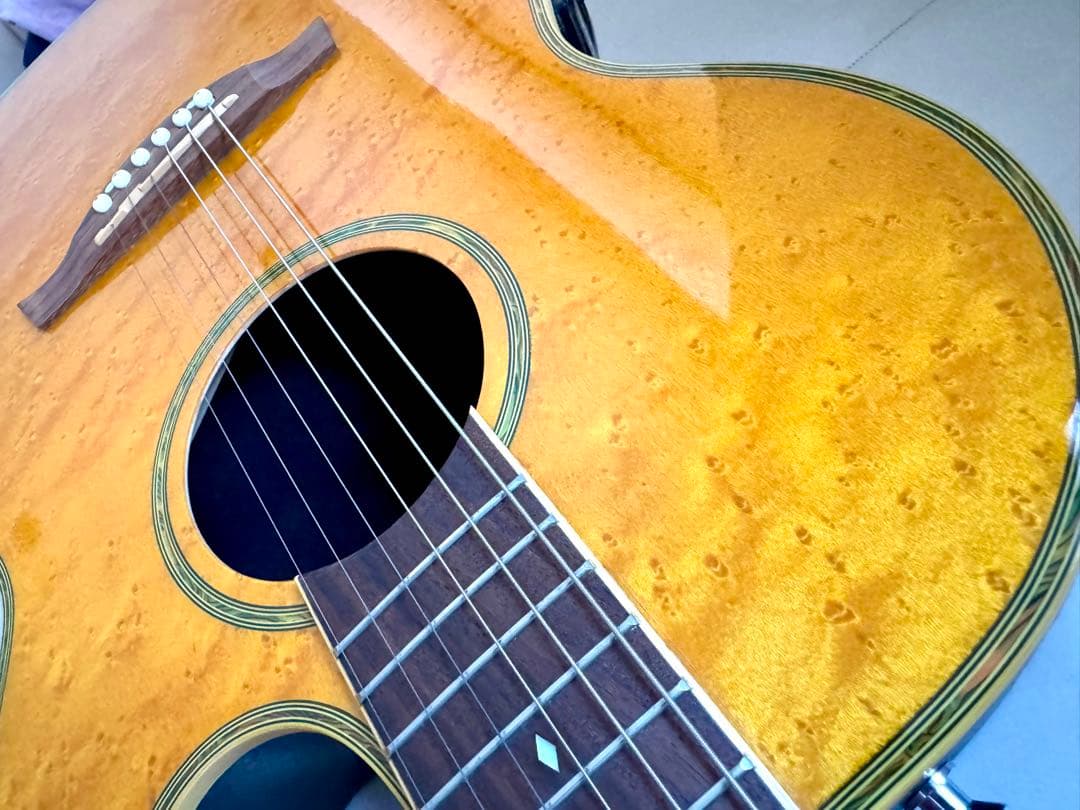 値下げしました❕希少! Schecterエレアコ（オベーションタイプボディー）