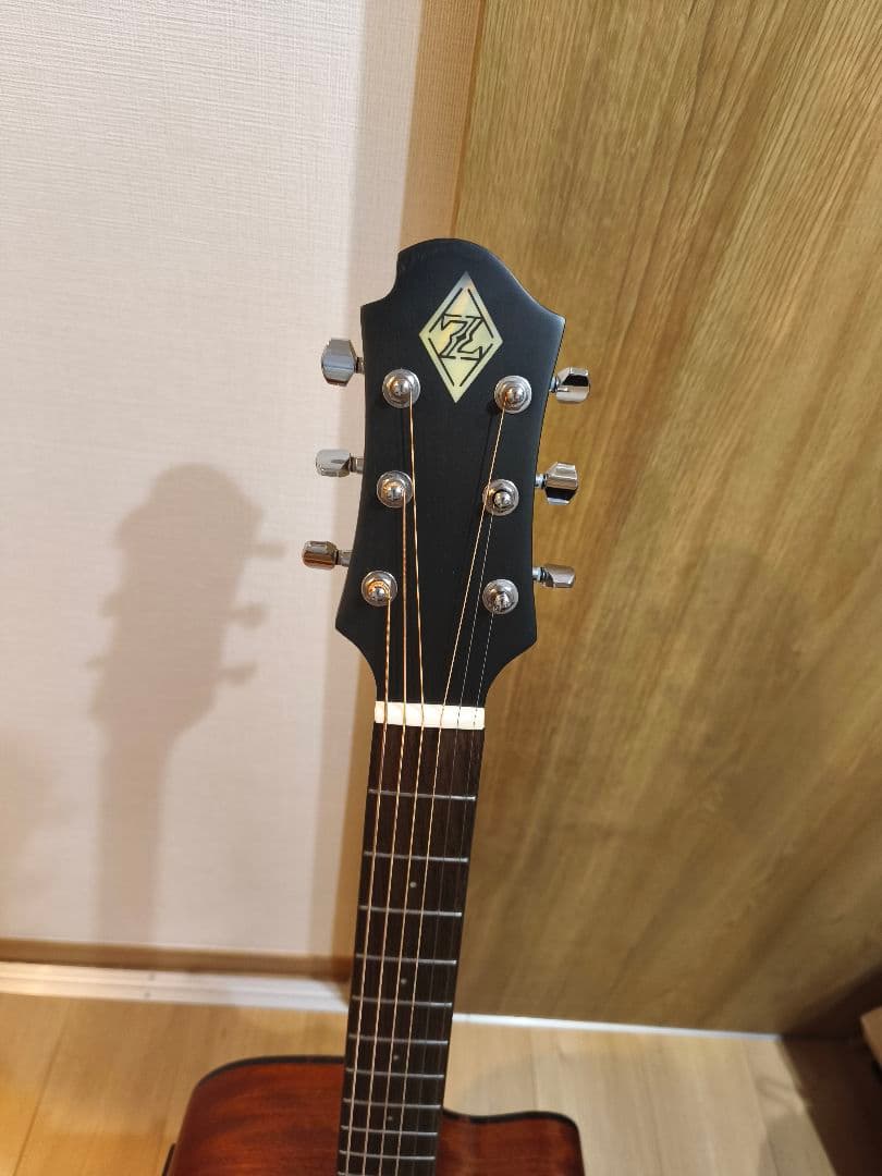 Zemaitis/エレアコ/CAF-85HCW フォレストグリーン