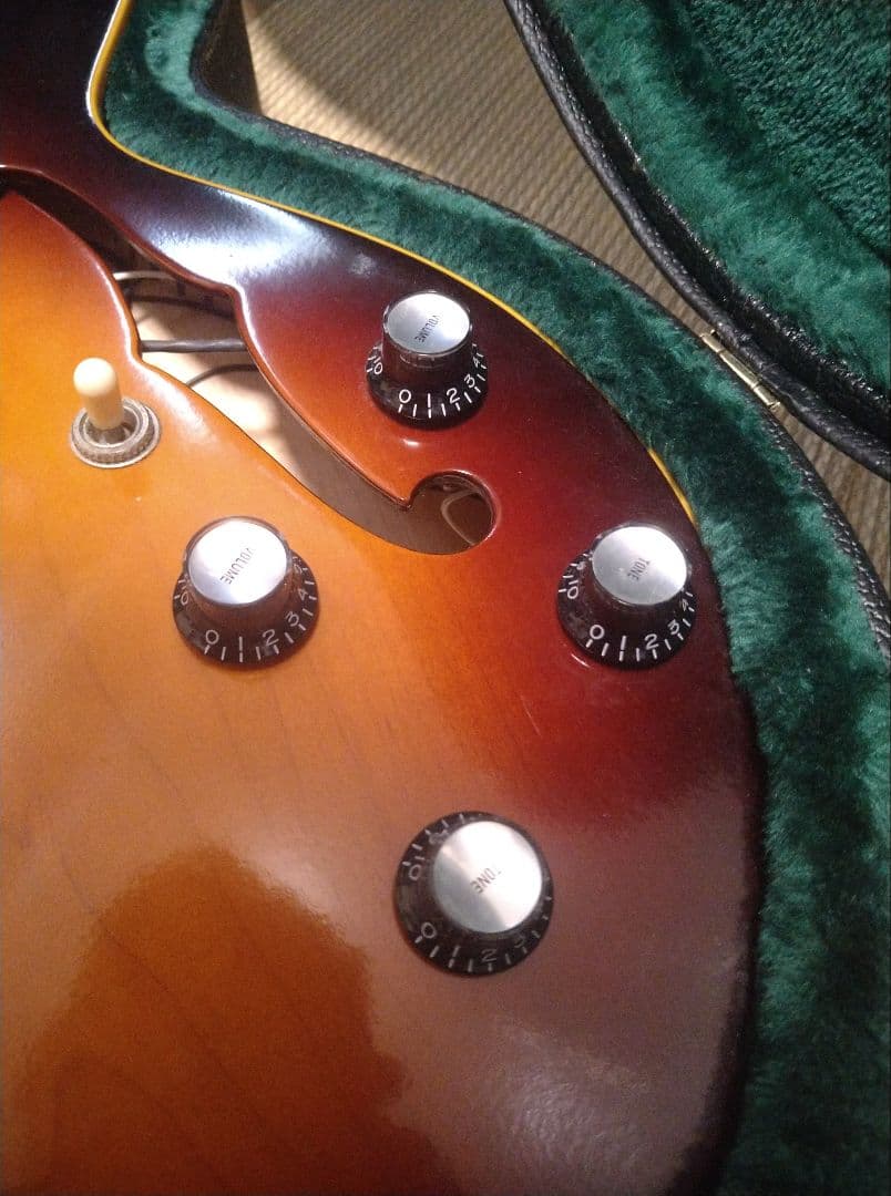 Edwards E-SA セミアコ