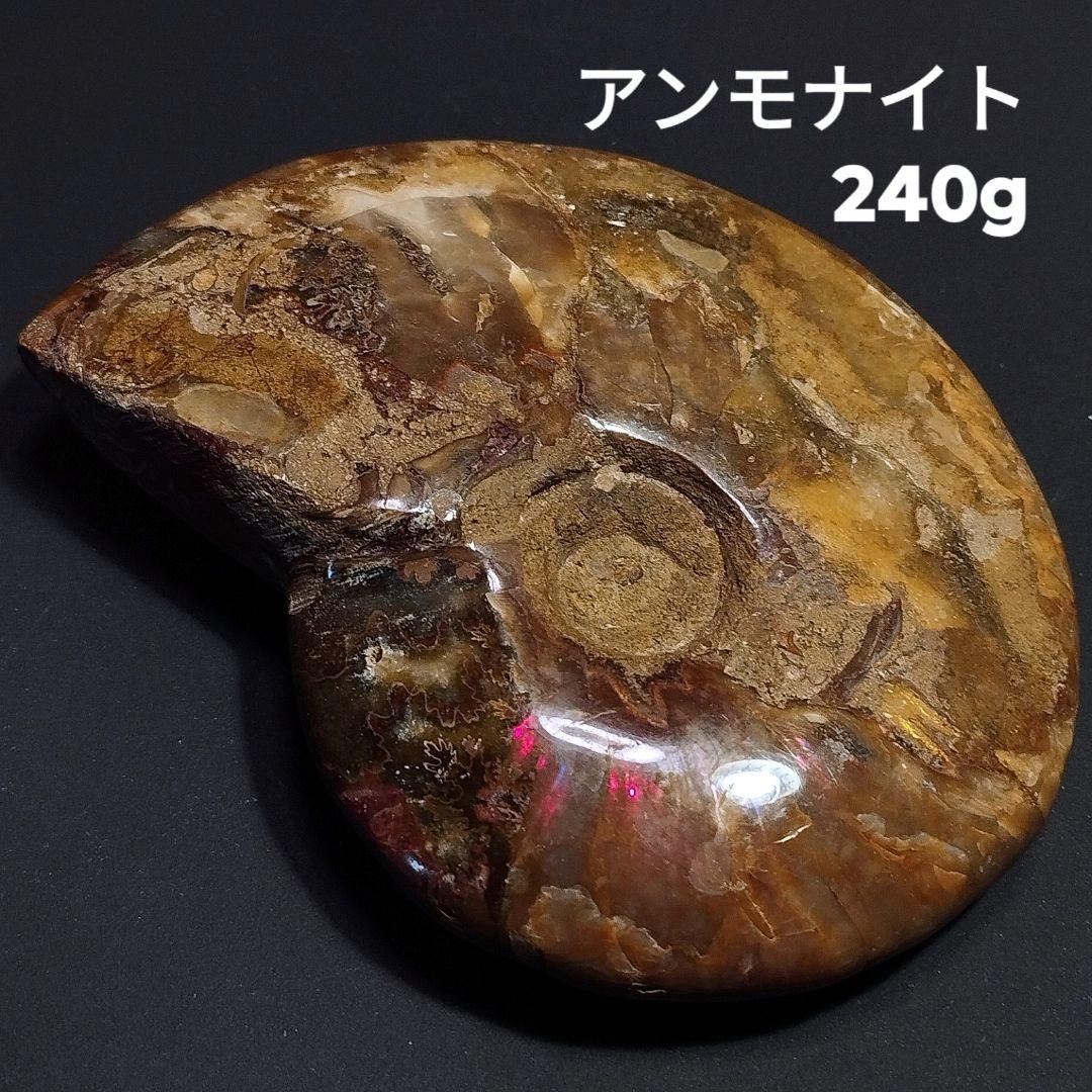 240g アンモナイト 化石 アンモライト オパール化 本物 原石 鉱物標本