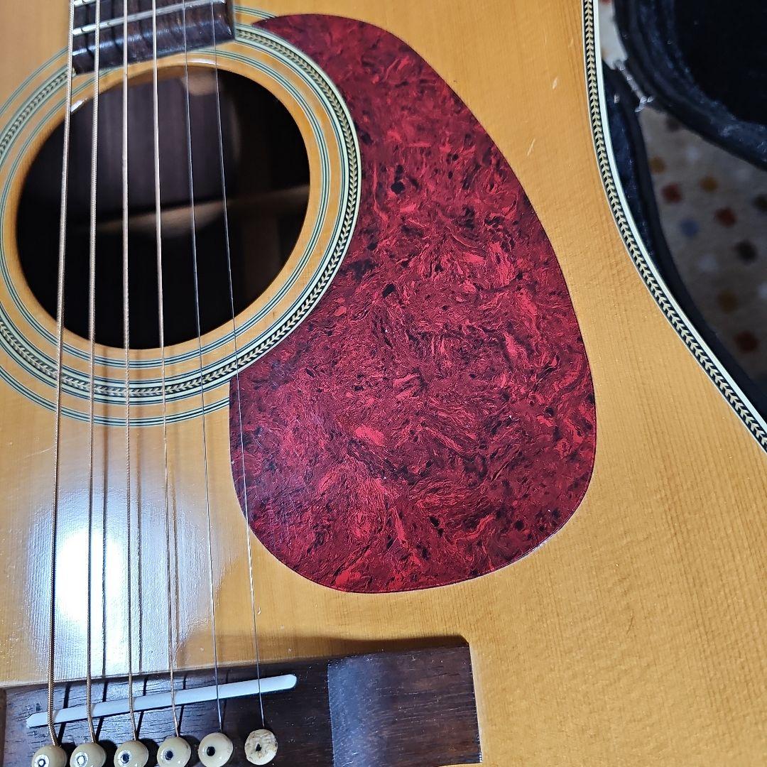 Aria.DreadnoughtAD-50トップ、バック単板! ハードケース付き