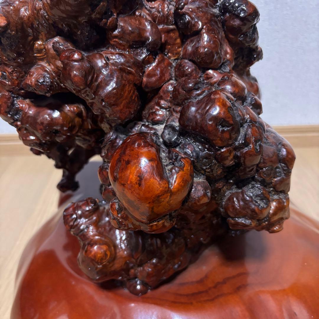木の瘤　オブジェ　置物　天然木　自然木　木瘤　レア物　異形　インテリア　和風