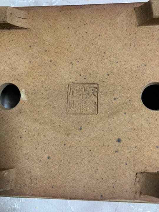 天竜石仙　盆栽鉢