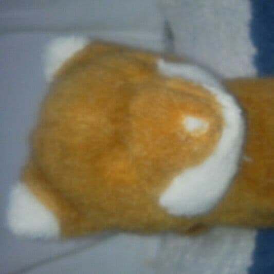 きつね人形ぬいぐるみ