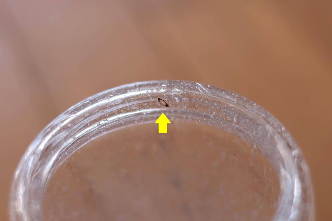 Erik Hoglund エリックホグラン 花瓶 花器 82540