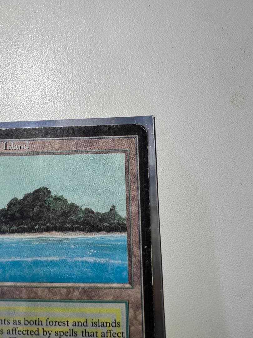 Tropical  マジック：ザ・ギャザリング