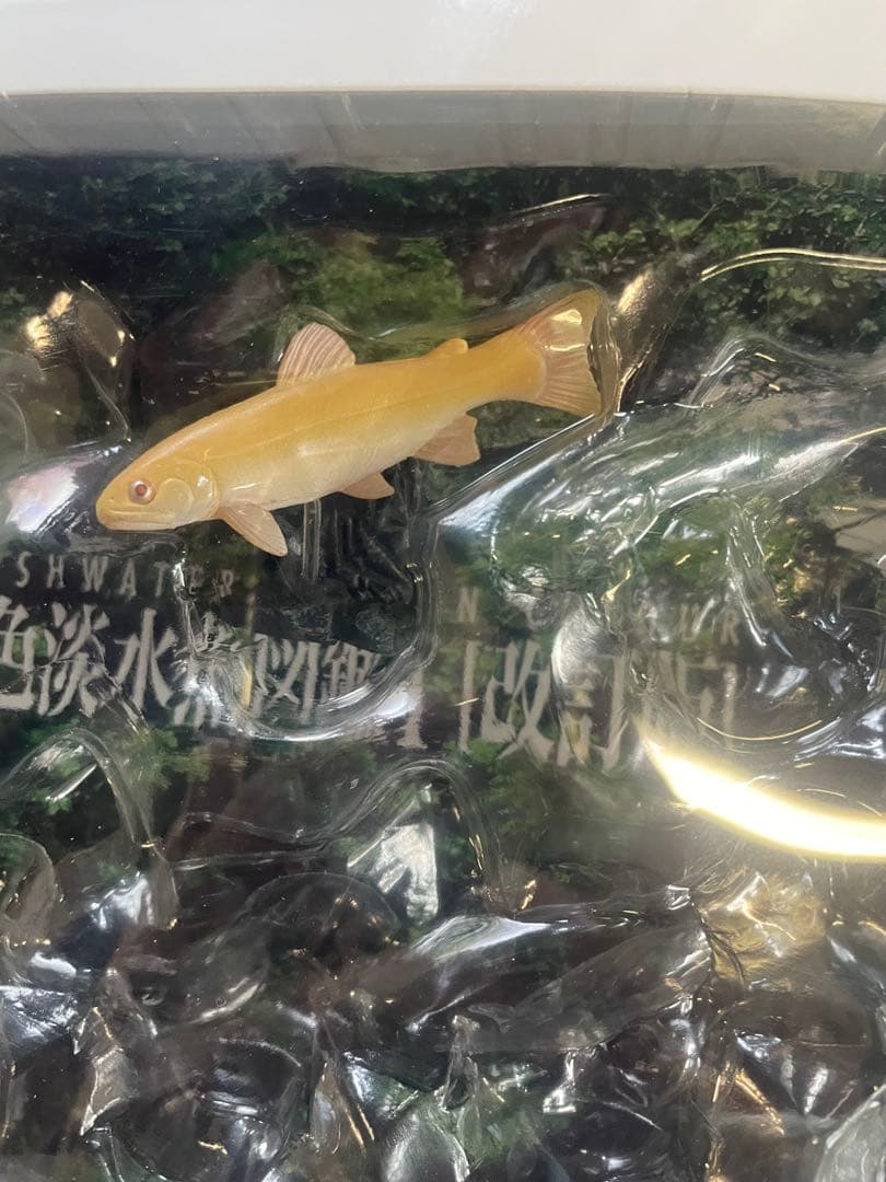 原色淡水魚図鑑Ⅰ Ⅱ 改訂版　コレクションボックス