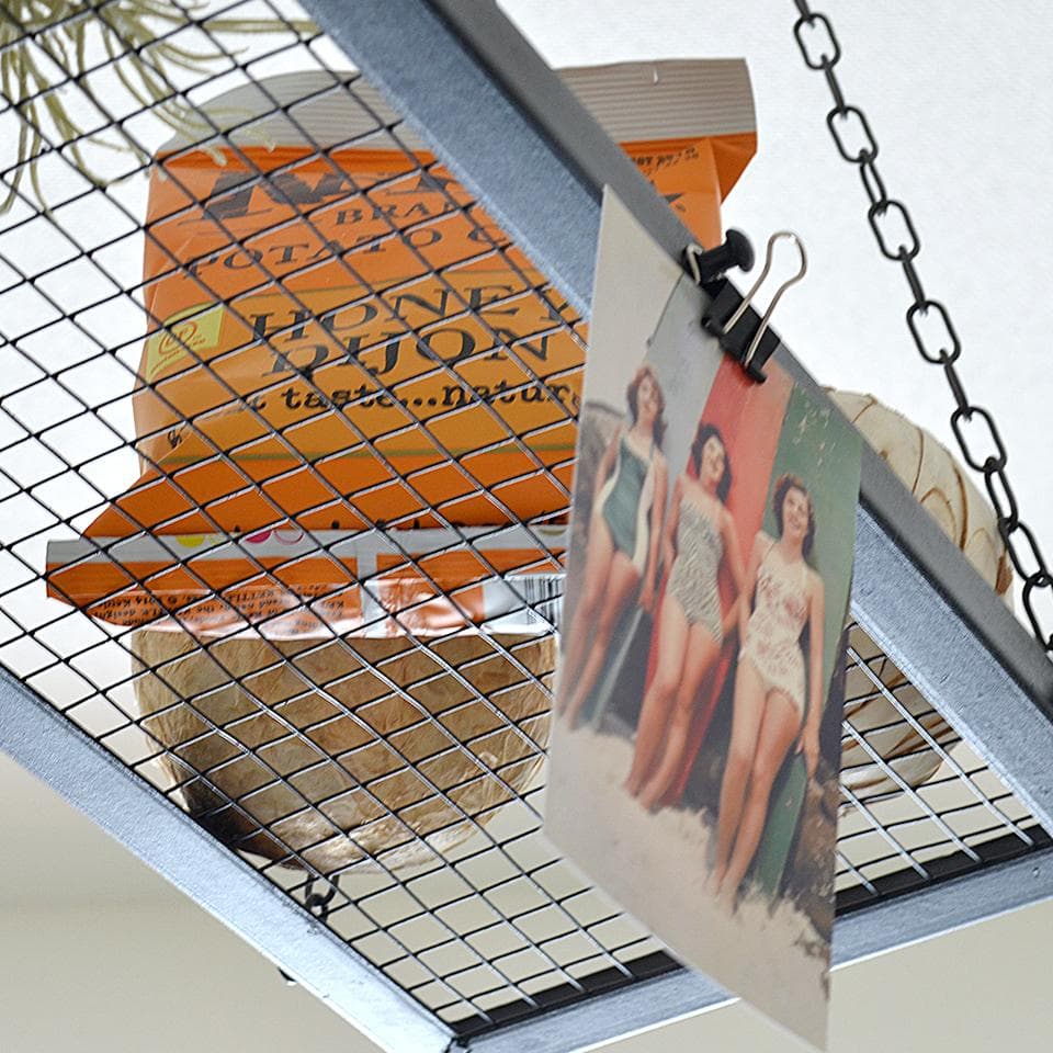 3灯シーリングライト PASSE（パッセ）ディスプレイ照明　本体のみ備品なし