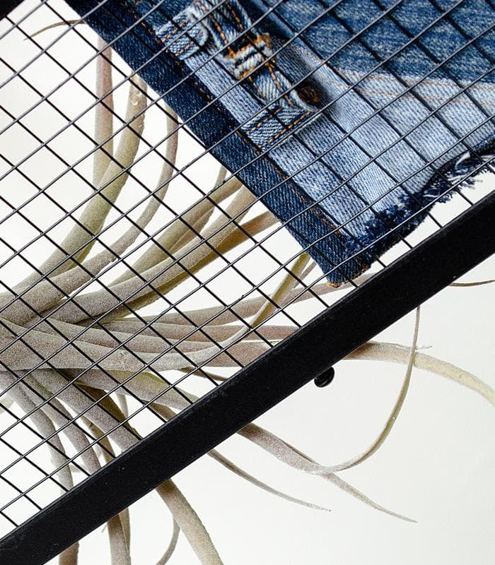 3灯シーリングライト PASSE（パッセ）ディスプレイ照明　本体のみ備品なし