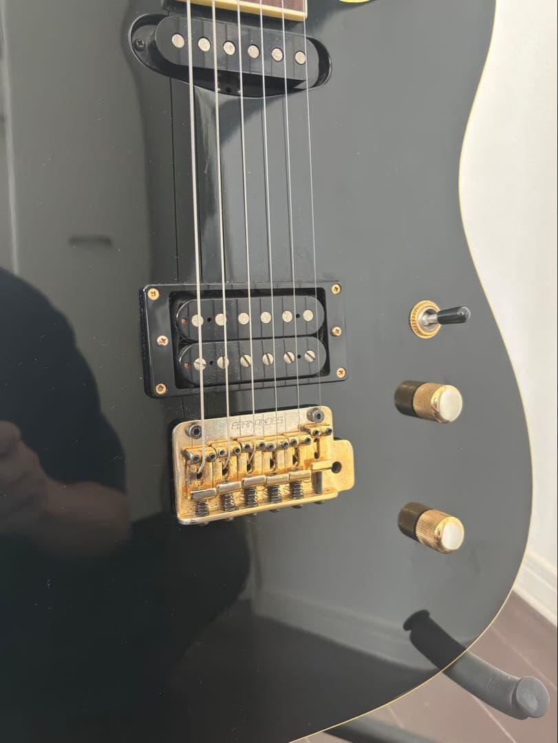 Fernandes フェルナンデス　TEJ 55g 中古